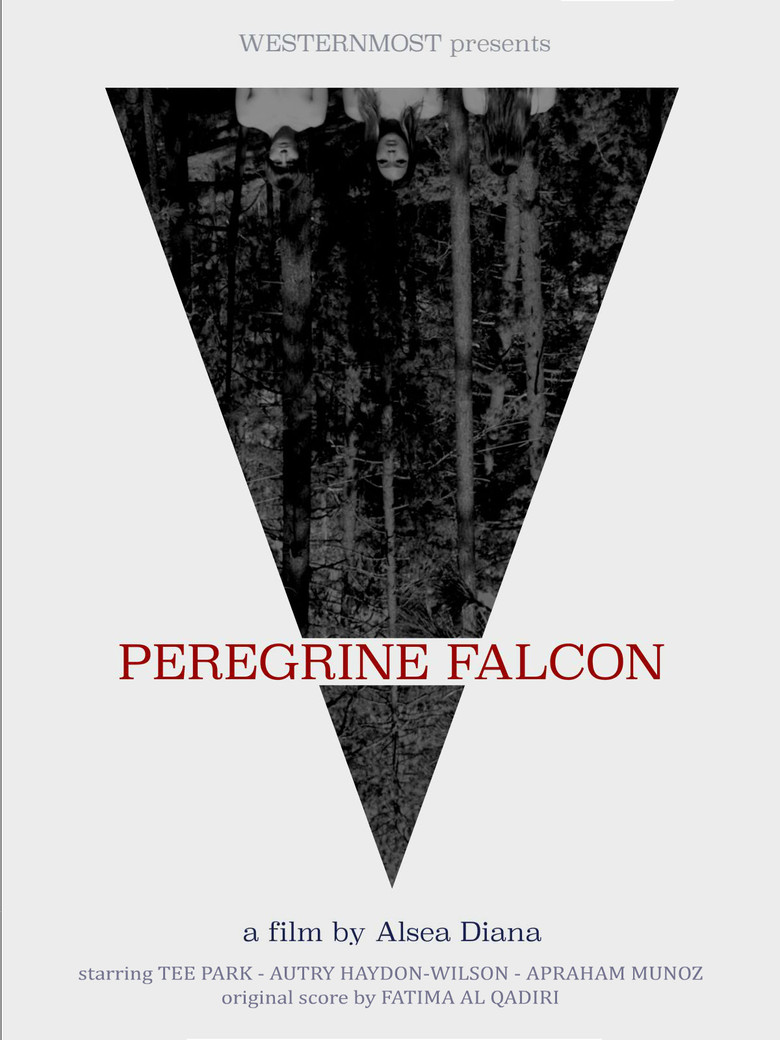 Poster 1