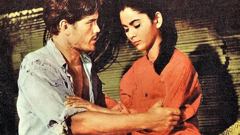 Scene 5