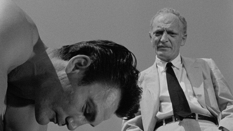 Scene 3