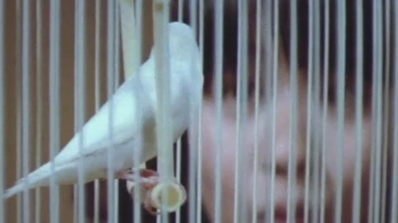 Scene 4