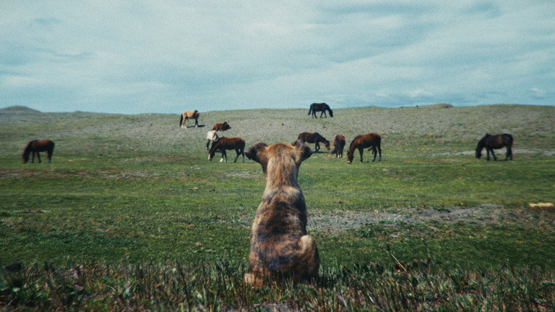 Scene 3