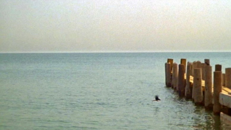 Scene 3