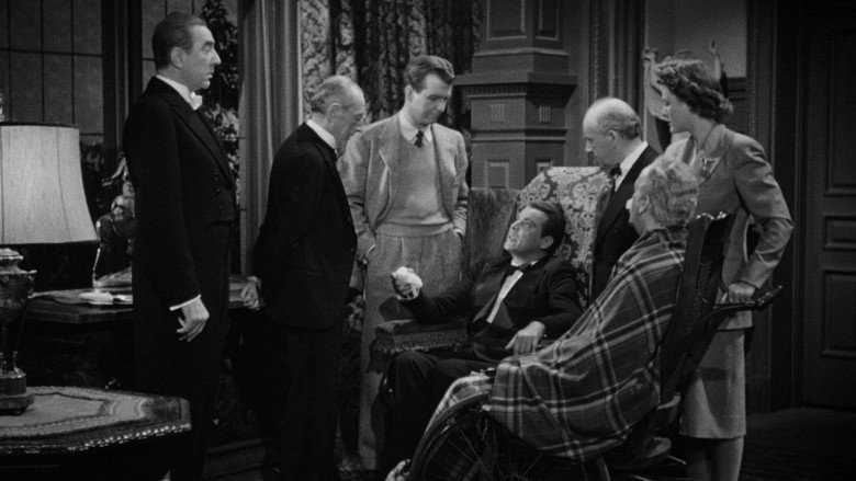 Scene 5