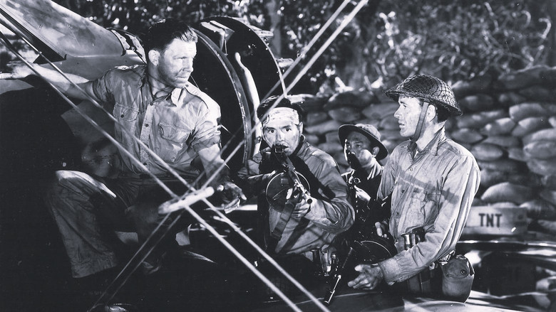 Scene 5