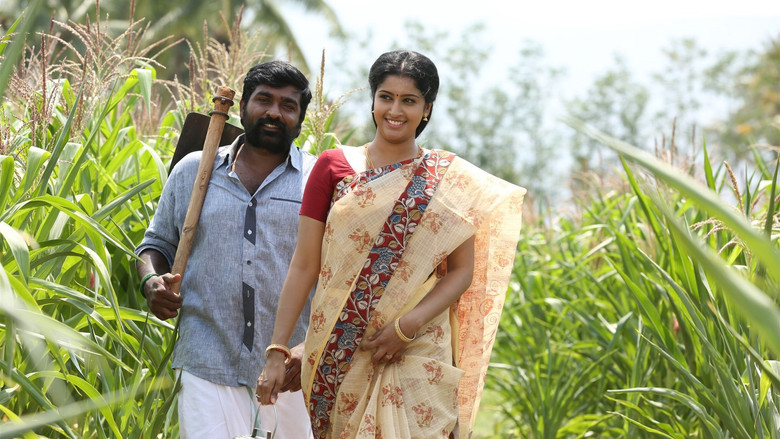 Scene 4