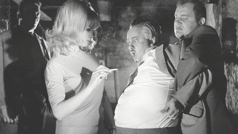 Scene 3