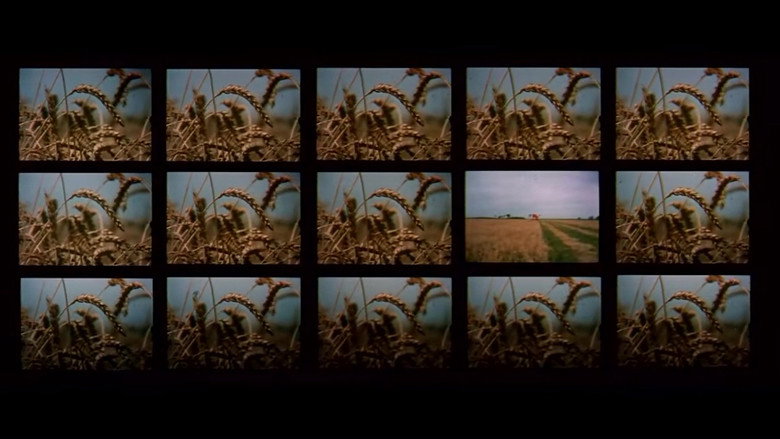 Scene 3