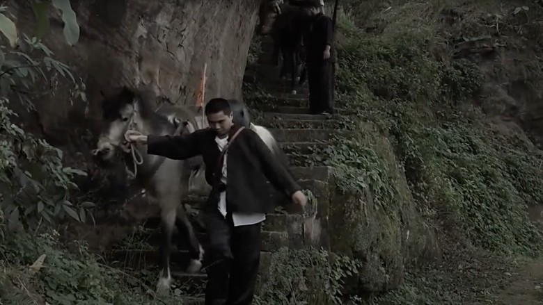 Scene 5