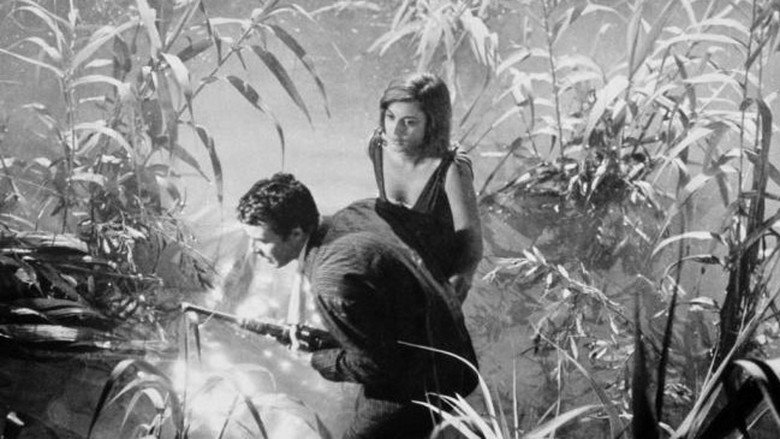 Scene 4