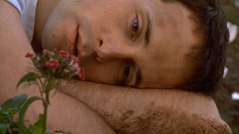 Scene 5