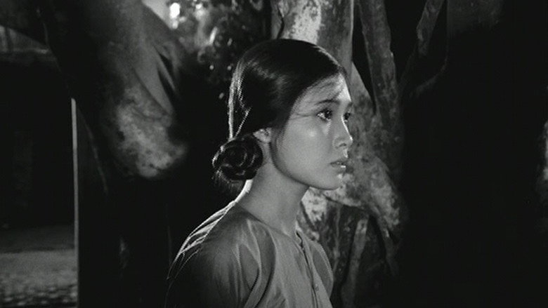 Scene 3