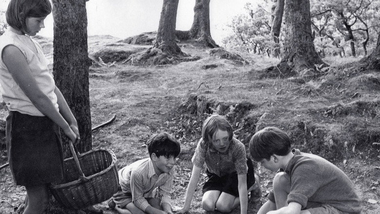 Scene 5