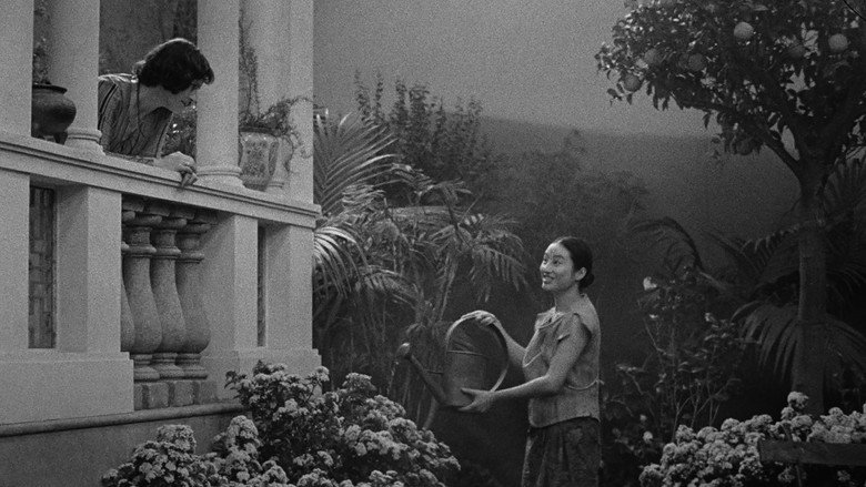 Scene 3