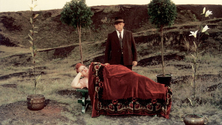 Scene 3