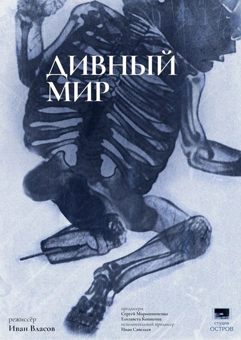Poster 1