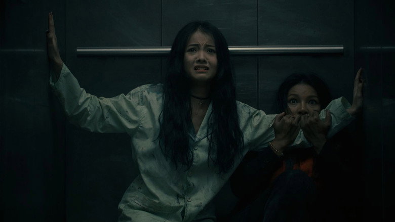 Scene 5