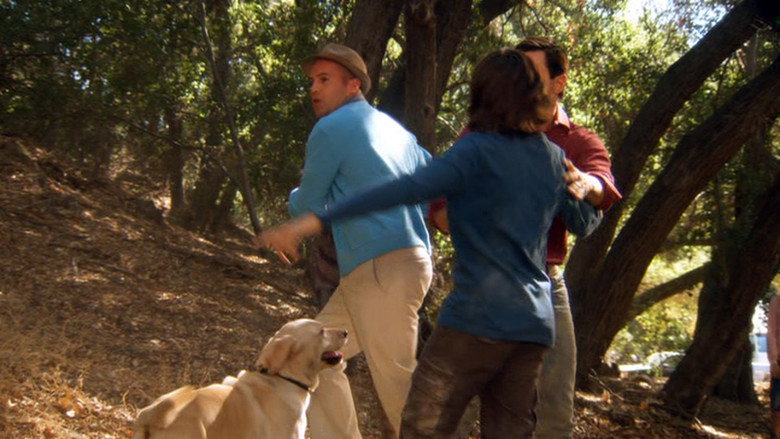 The Gold Retrievers backdrop