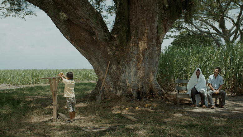 Scene 4