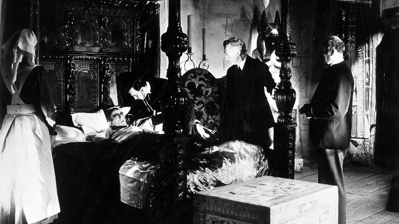 Scene 5