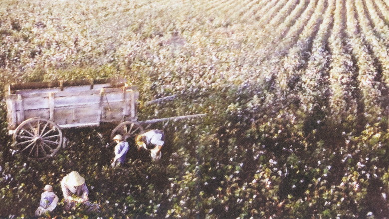 Scene 5