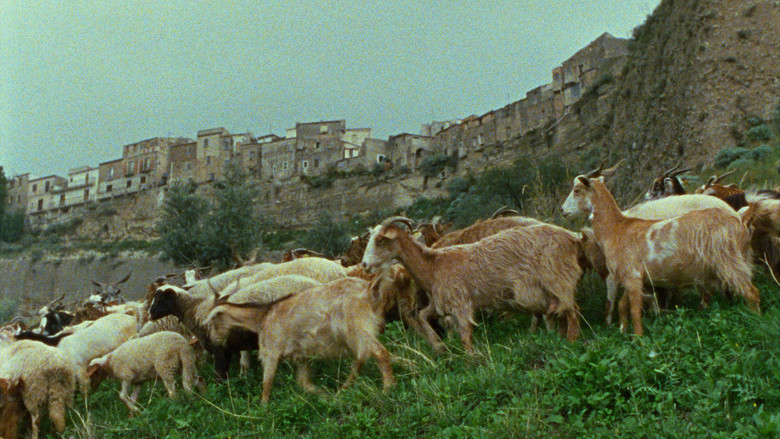 Scene 5
