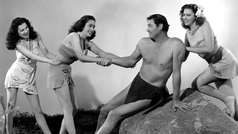 Scene 3