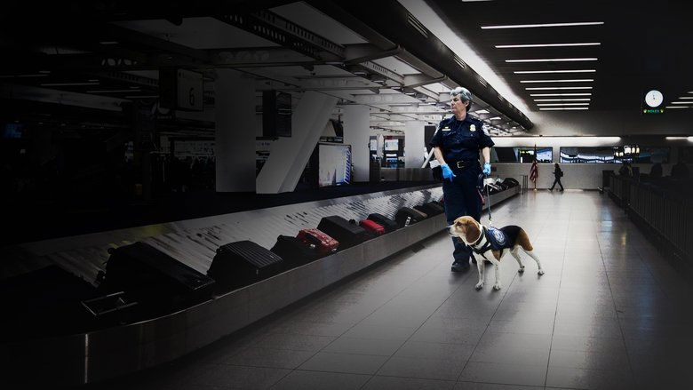 To Catch a Smuggler