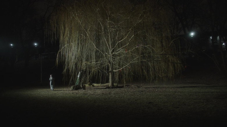 Scene 3
