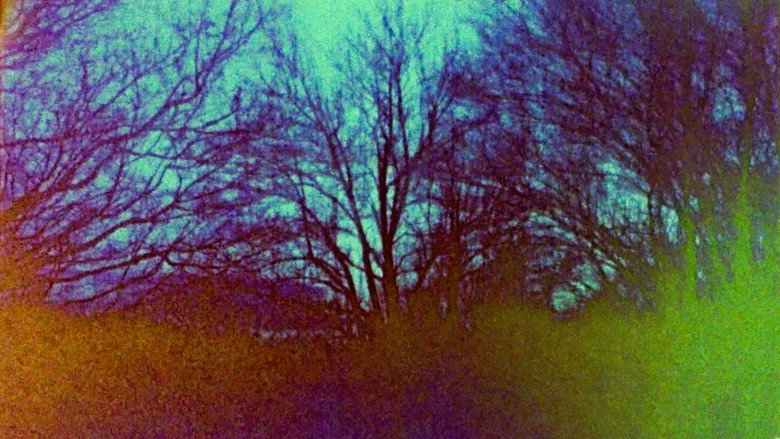 Scene 3