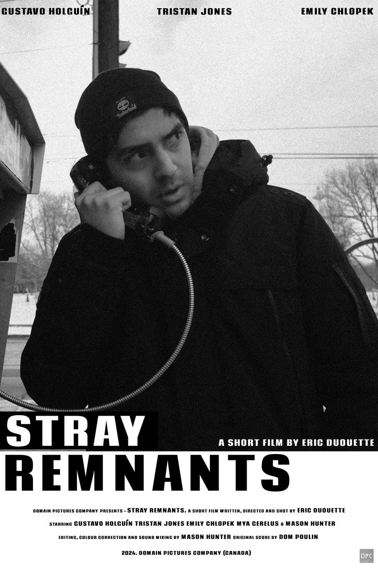 Poster 3
