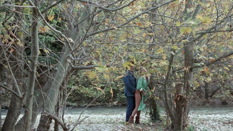 Scene 5