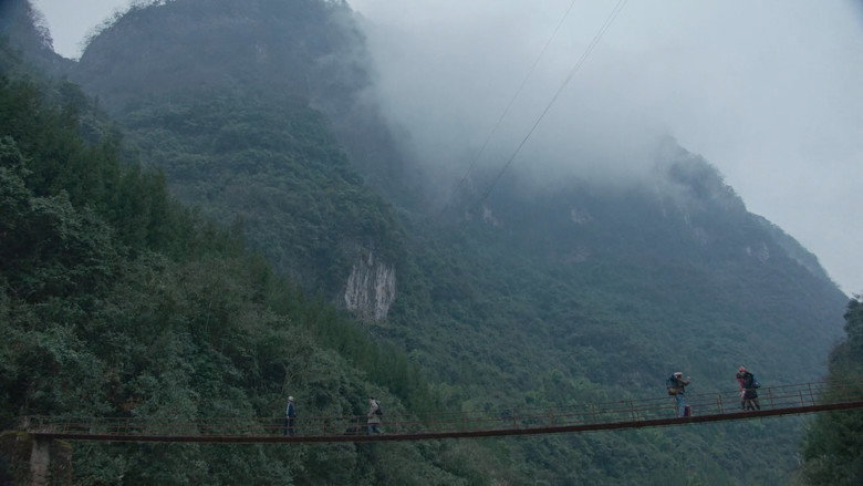 view all