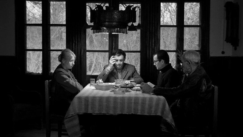 Scene 5