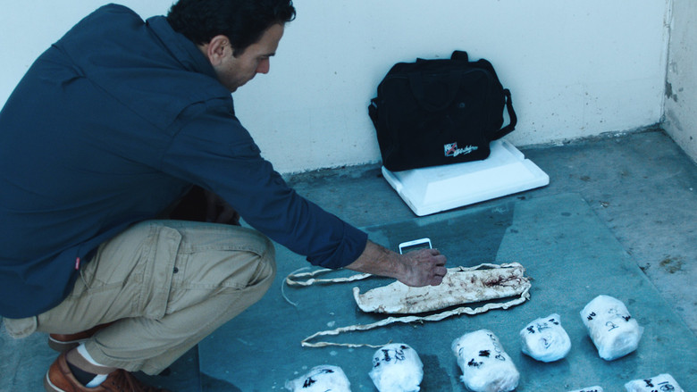 Scene 3