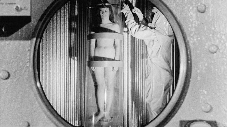 Scene 5