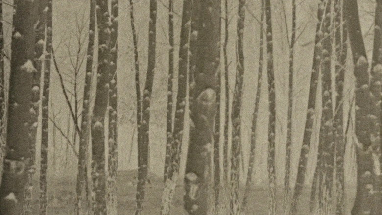Film Dedicated to Water and Trees backdrop