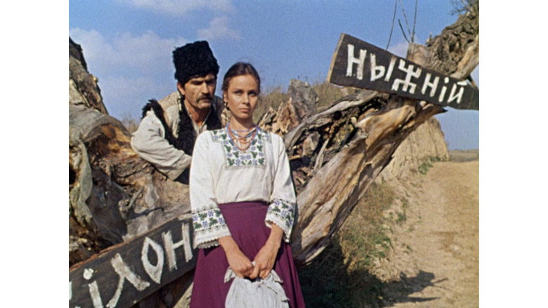 Scene 3