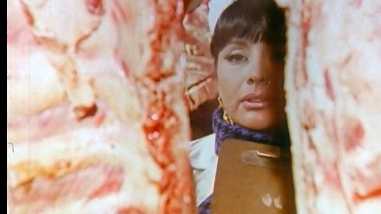 Scene 5