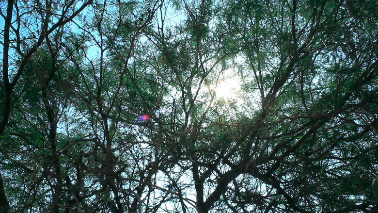 Scene 2