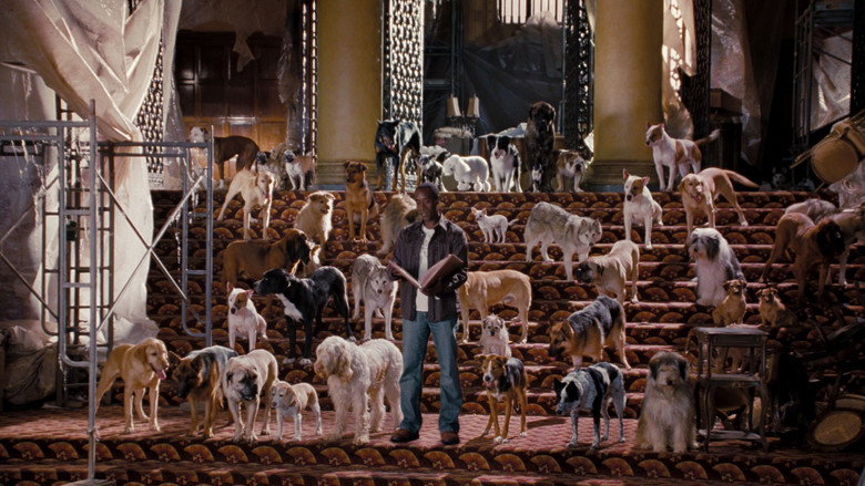 Scene 3