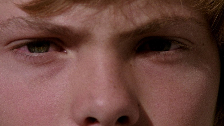 Scene 5