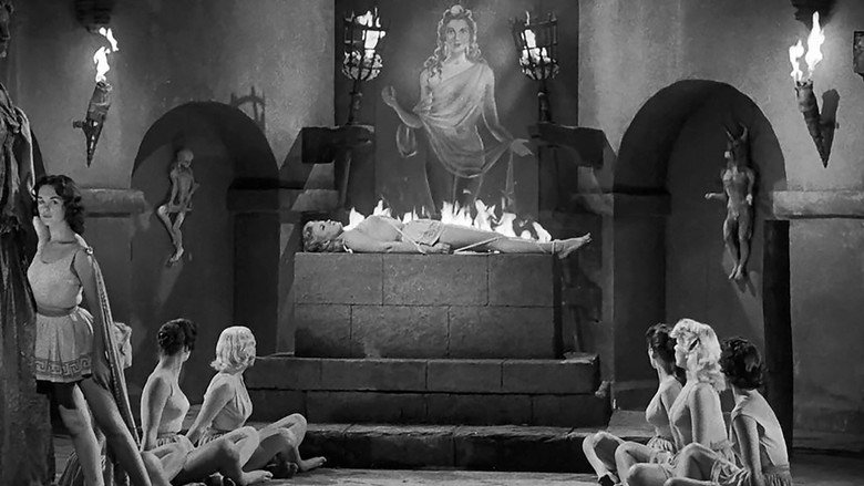 Scene 5