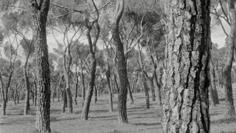 Scene 4
