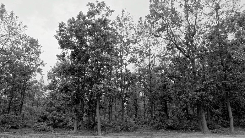 Scene 4