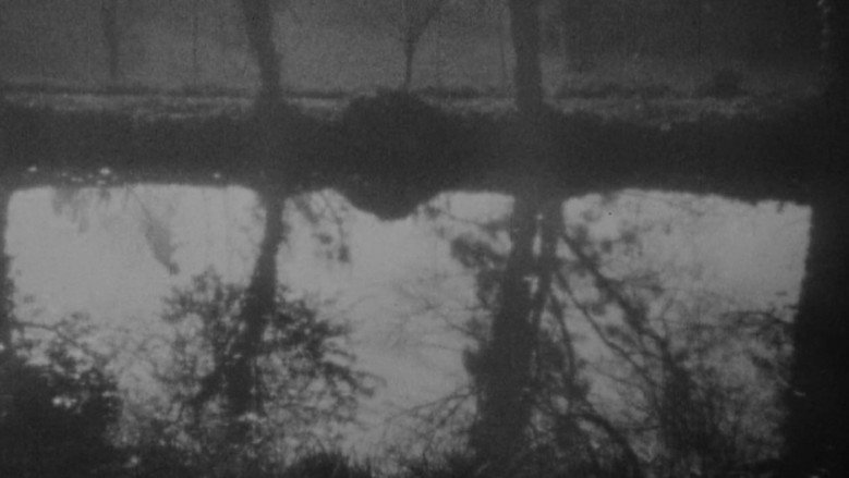 Scene 3