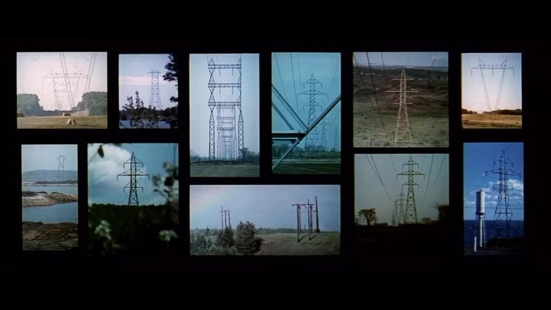 Scene 5