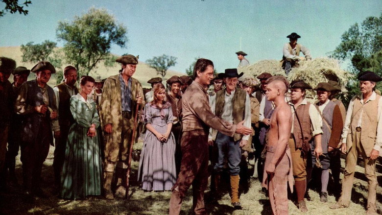 Scene 3