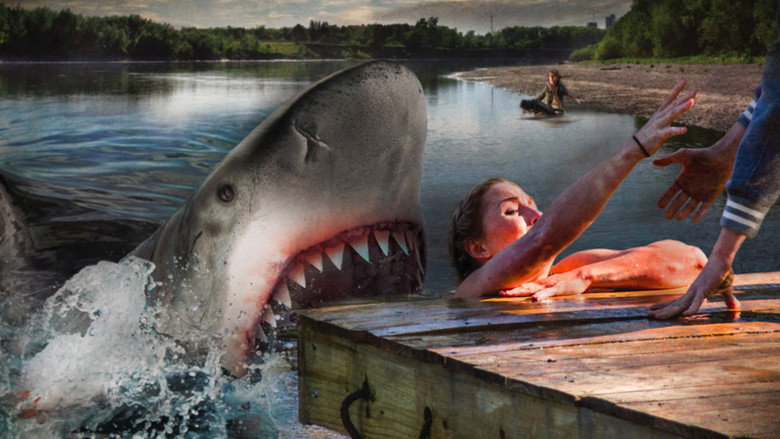 Ozark Sharks backdrop