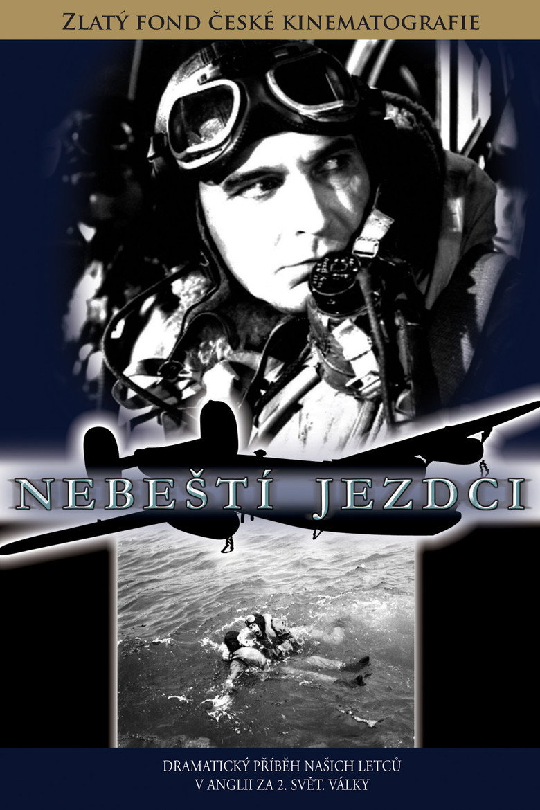 Poster 6