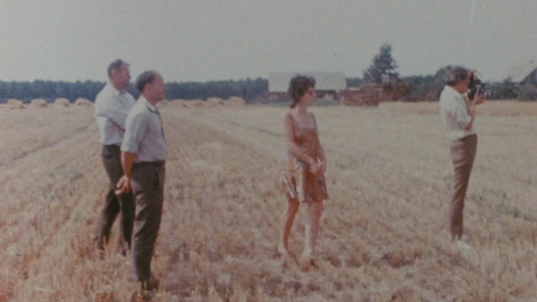 Scene 3